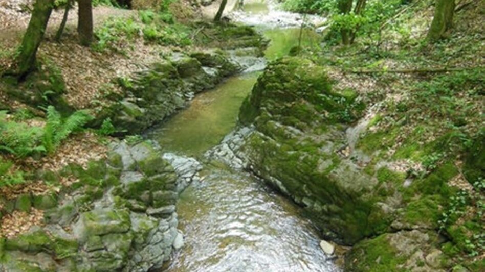 Hiking route Hinterbrühlweg, Stubenberg - Touren-Impression #2.2 | © Oststeiermark Tourismus