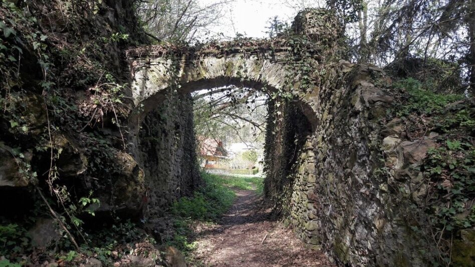 Hiking route Hinterbrühlweg, Stubenberg - Touren-Impression #2.3 | © Oststeiermark Tourismus