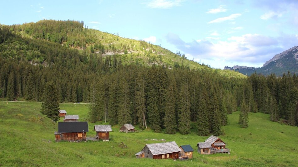 Mountain Biking S432 Salza round - Touren-Impression #2.1 | © TVB Ausseerland Salzkammergut_(c) Viola Lechner