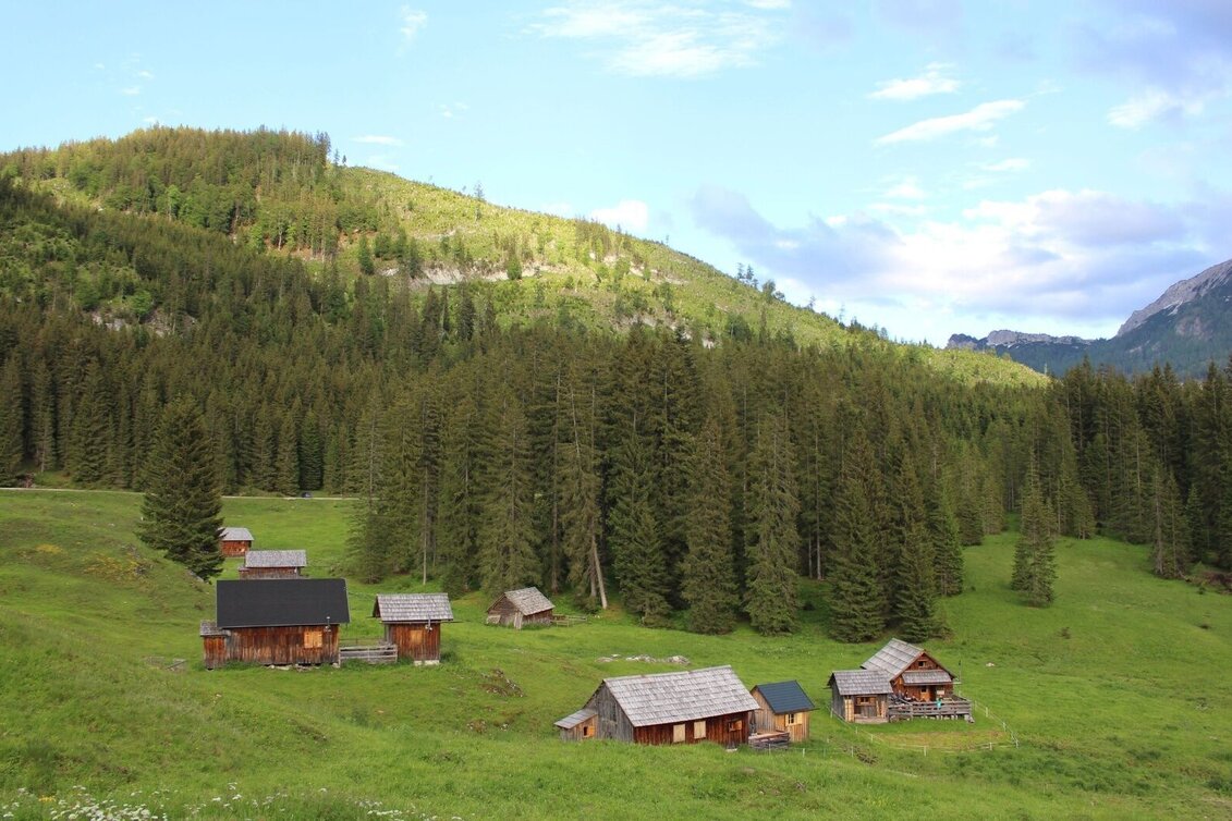 Mountain Biking S432 Salza round - Touren-Impression #1 | © TVB Ausseerland Salzkammergut_(c) Viola Lechner