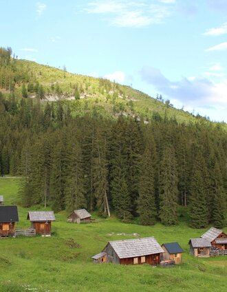 Salzaalm | © TVB Ausseerland Salzkammergut_(c) Viola Lechner
