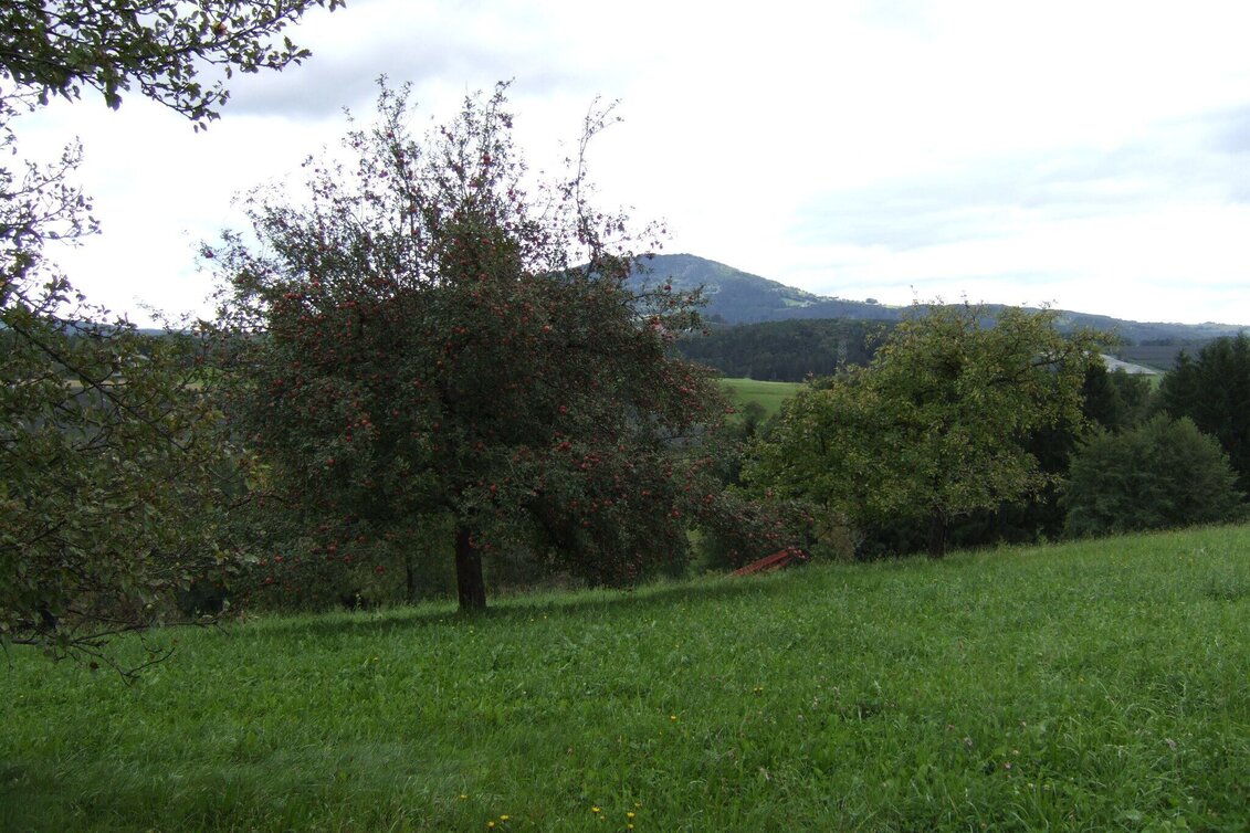 Wanderung Lex- Michlhof- Runde - Touren-Impression #1 | © Oststeiermark Tourismus