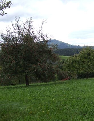 Lex- Michlhof- Runde | XErlebnisregion Oststeiermark Geschäftsstelle ApfelLand-Stubenbergsee | © Oststeiermark Tourismus