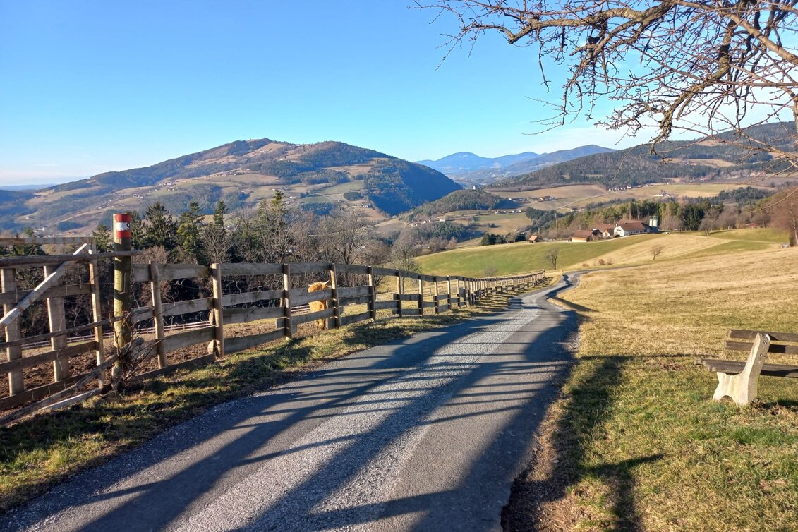 Wanderung Zeilrundweg; Stubenberg - Touren-Impression #1 | © Oststeiermark Tourismus