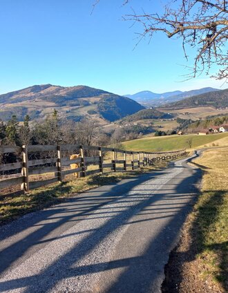 Zeilrundweg in Stubenberg, ApfelLand-Stubenberg, Oststeiermark | Doris Almer | © Oststeiermark Tourismus