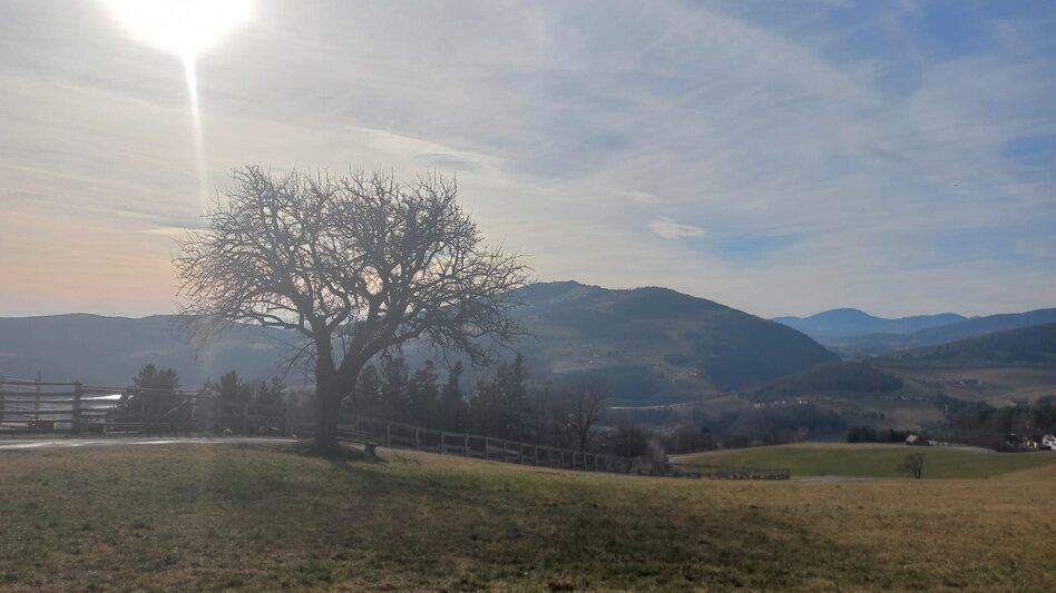 Wanderung Zeilrundweg; Stubenberg - Touren-Impression #2.2 | © Oststeiermark Tourismus