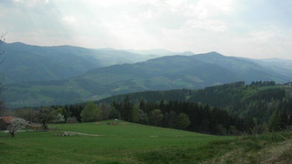 Wanderung Kreilkogelweg,Stubenberg - Touren-Impression #2.4 | © Oststeiermark Tourismus