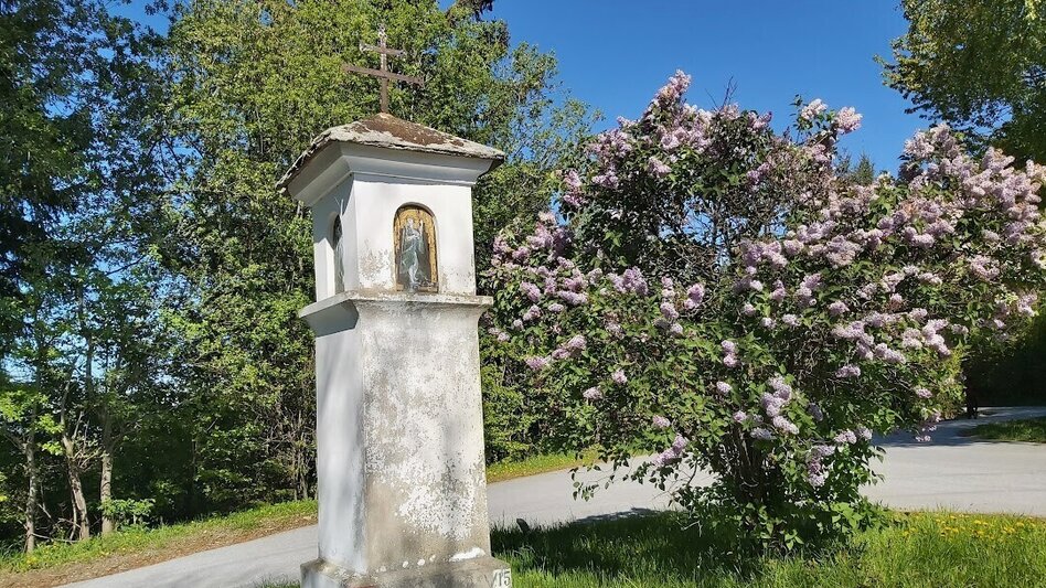 Wanderung Kreilkogelweg,Stubenberg - Touren-Impression #2.5 | © Tourismusverband Oststeiermark