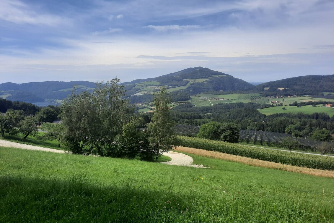 Wanderung Buchkogel- Höhenweg, Stubenberg - Touren-Impression #1 | © Oststeiermark Tourismus