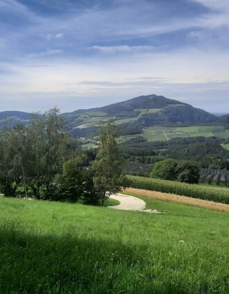 Vom Buchkogel mit Blick auf den Kulm | ©WEGES | © Oststeiermark Tourismus