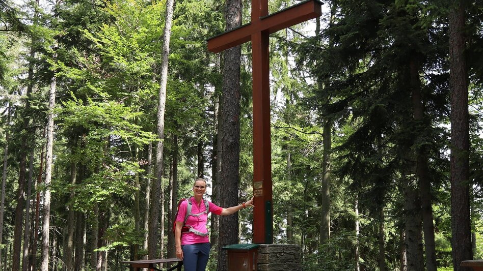 Wanderung Buchkogel- Höhenweg, Stubenberg - Touren-Impression #2.3 | © Oststeiermark Tourismus