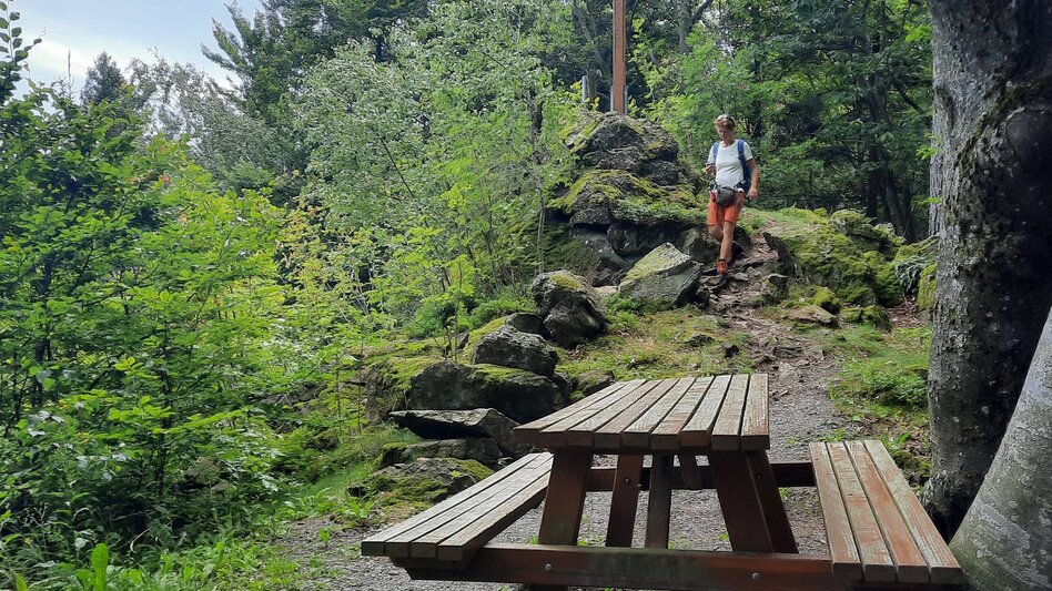 Wanderung Buchkogel- Höhenweg, Stubenberg - Touren-Impression #2.4 | © Oststeiermark Tourismus
