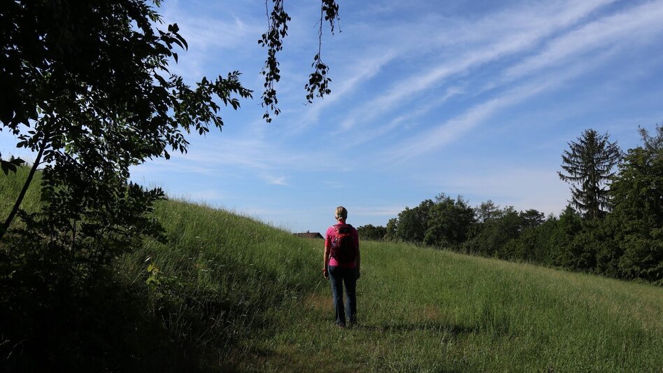 Wanderung Buchkogel-Runde, Stubenberg - Touren-Impression #2.7 | © Oststeiermark Tourismus