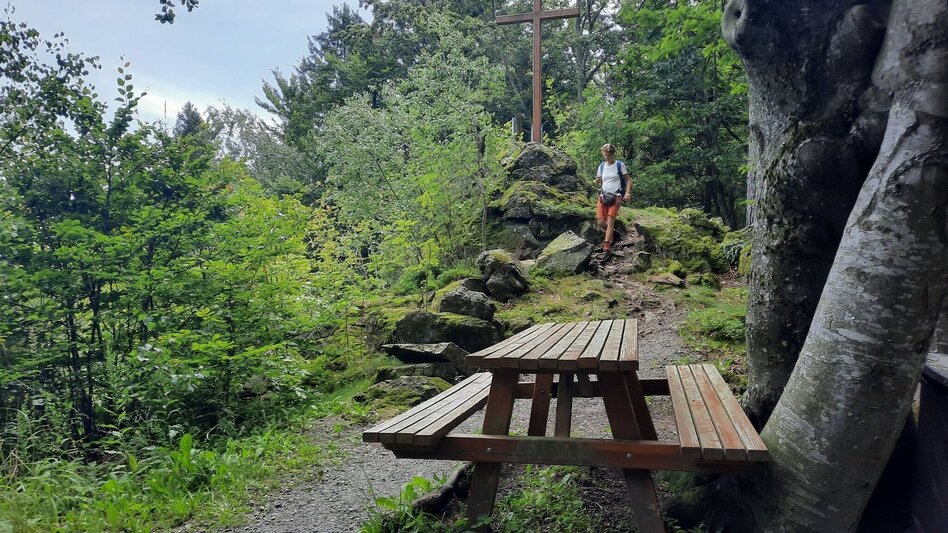 Wanderung Buchkogel-Runde, Stubenberg - Touren-Impression #2.3 | © Oststeiermark Tourismus
