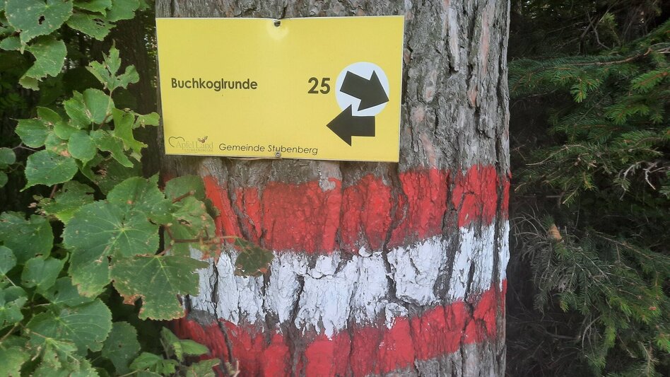 Wanderung Buchkogel-Runde, Stubenberg - Touren-Impression #2.5 | © Oststeiermark Tourismus