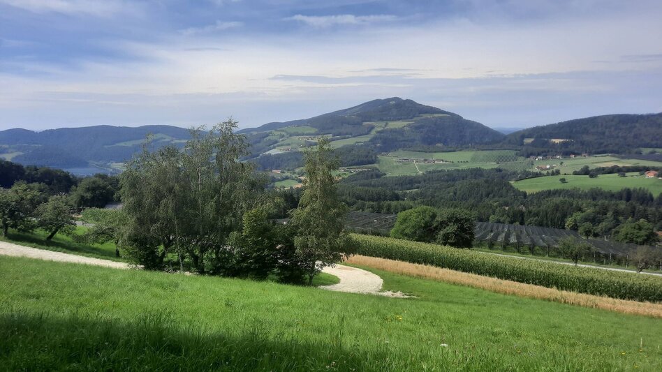 Wanderung Buchkogel-Runde, Stubenberg - Touren-Impression #2.6 | © Oststeiermark Tourismus