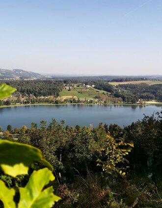 Ausblick zum Stubenbergsee, Apfelland in der Oststeiermark | Christine Pollhammer | © Oststeiermark Tourismus