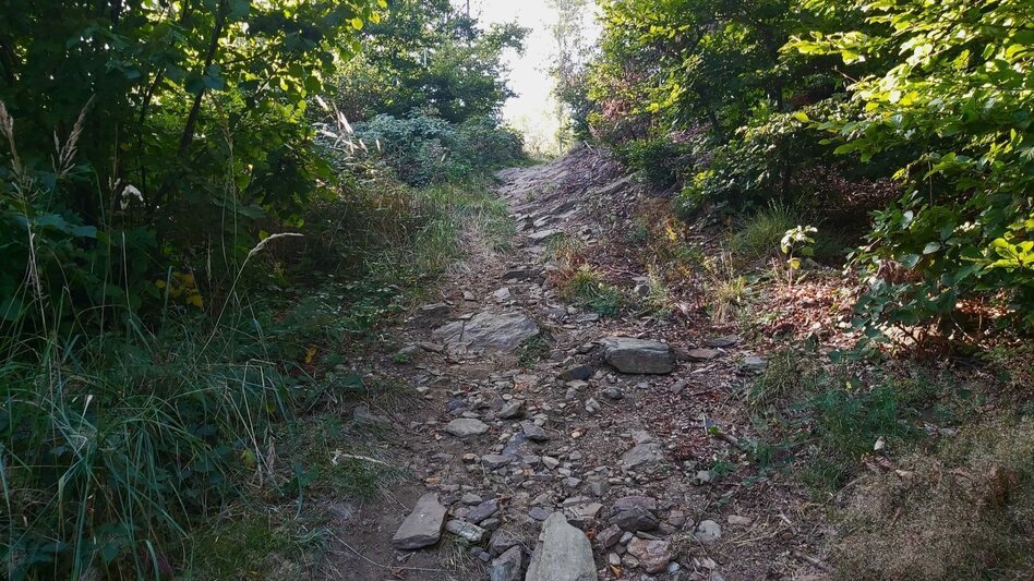 Hiking route Culm Way - Touren-Impression #2.7 | © Oststeiermark Tourismus