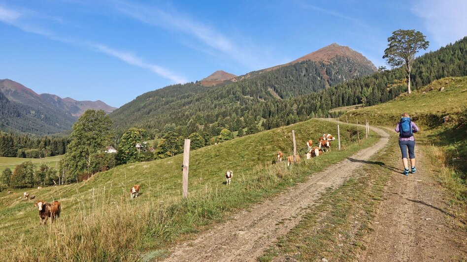 Hiking route Hochschwung - summit hike in the Wölzer Tauern - Touren-Impression #2.3 | © Weges OG