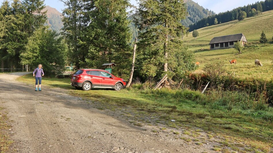 Hiking route Hochschwung - summit hike in the Wölzer Tauern - Touren-Impression #2.4 | © Weges OG