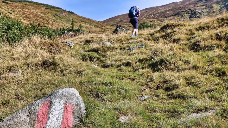 Hiking route Hochschwung - summit hike in the Wölzer Tauern - Touren-Impression #2.10 | © Weges OG