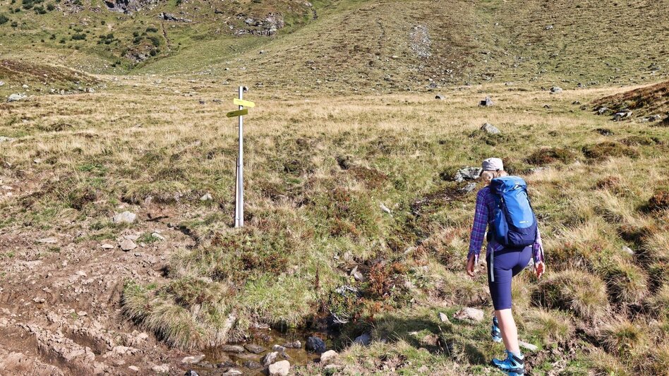 Hiking route Hochschwung - summit hike in the Wölzer Tauern - Touren-Impression #2.13 | © Weges OG