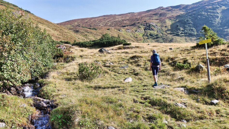 Hiking route Hochschwung - summit hike in the Wölzer Tauern - Touren-Impression #2.14 | © Weges OG