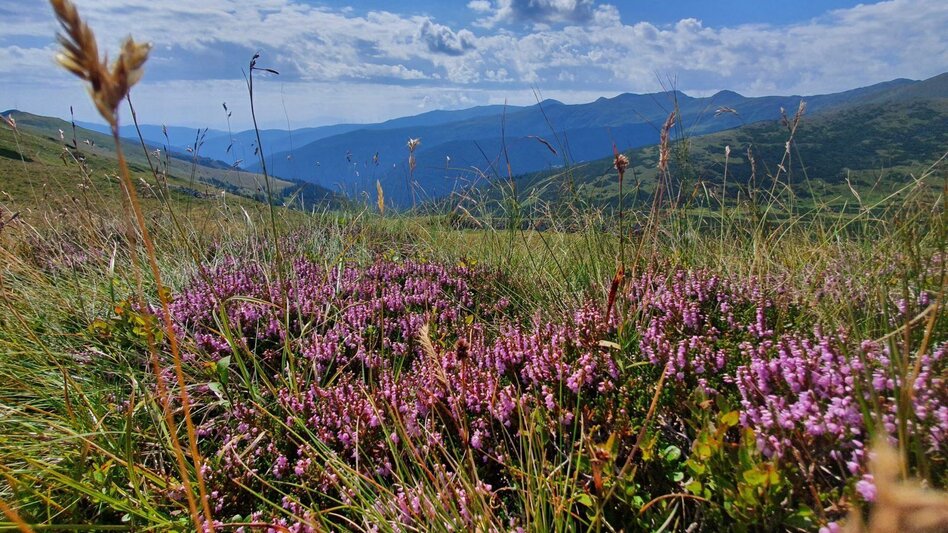 Wanderung Kleiner Hansl - Touren-Impression #2.4 | © Erlebnisregion Murtal