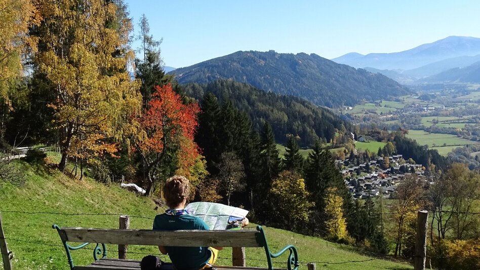 Wanderung Waldlehrwanderweg Nr. 01 - Touren-Impression #2.1 | © WEGES OG