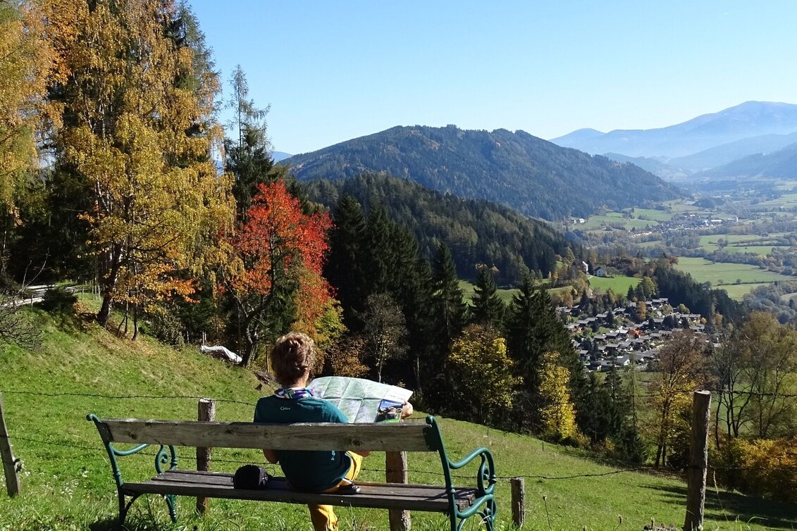 Wanderung Waldlehrwanderweg Nr. 01 - Touren-Impression #1 | © WEGES OG