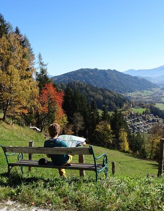 Fa Weges | WEGES OG | © WEGES OG