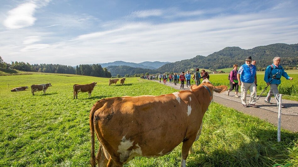 Wanderung Waldlehrwanderweg Nr. 01 - Touren-Impression #2.2 | © Markus Beren