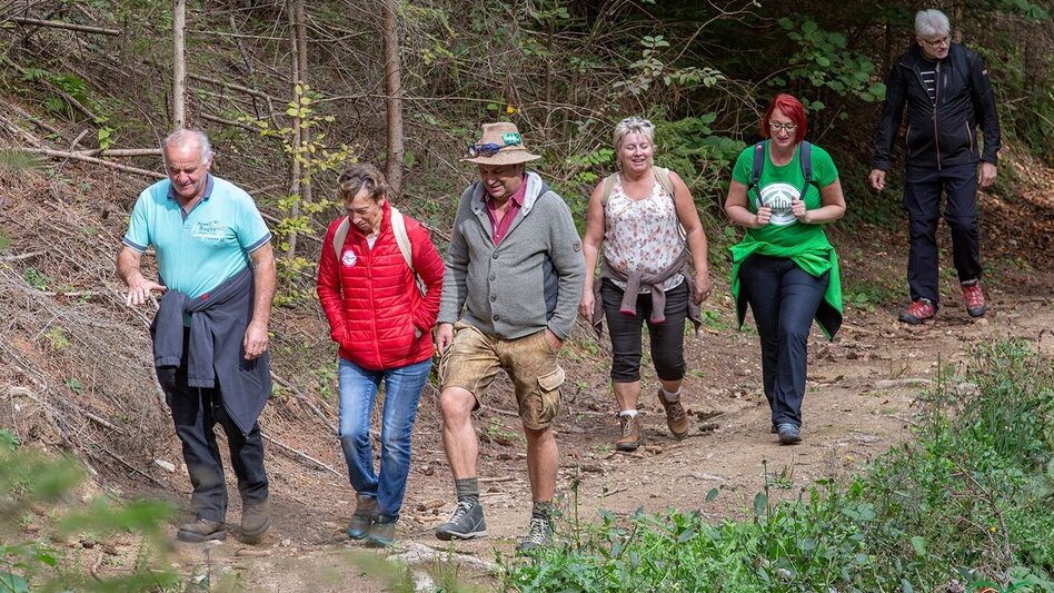 Wanderung Waldlehrwanderweg Nr. 01 - Touren-Impression #2.3 | © Markus Beren