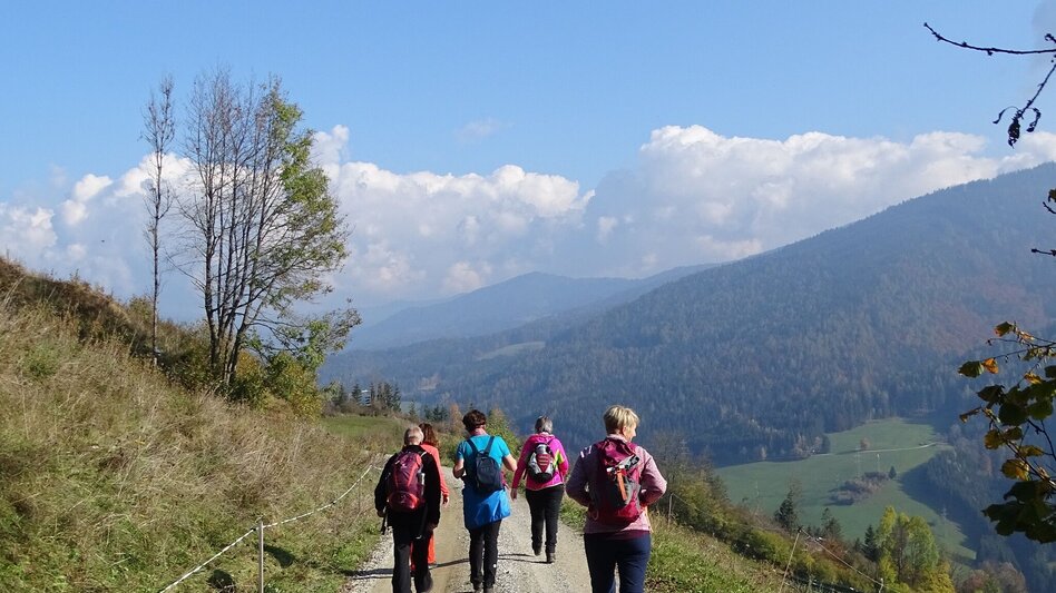 Wanderung Waldlehrwanderweg Nr. 01 - Touren-Impression #2.4 | © TVB Pölstal - Urlaubsregion Murau-Murtal 
