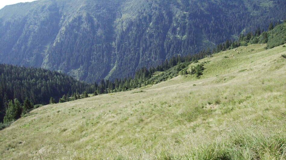 Hiking route Seitnerzinken - Touren-Impression #2.1 | © Erlebnisregion Murtal