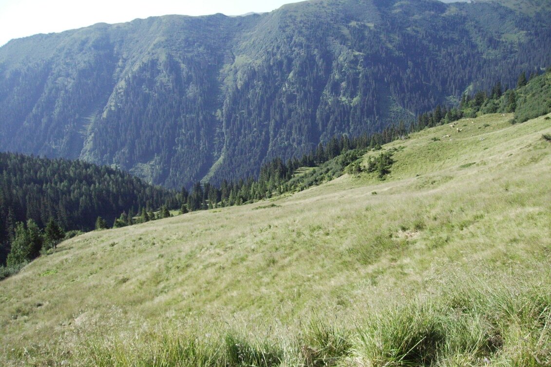 Hiking route Seitnerzinken - Touren-Impression #1 | © Erlebnisregion Murtal