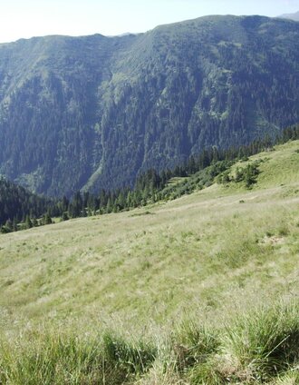 seitnerzinken_img_30851114 | Bianca Poier | © Erlebnisregion Murtal