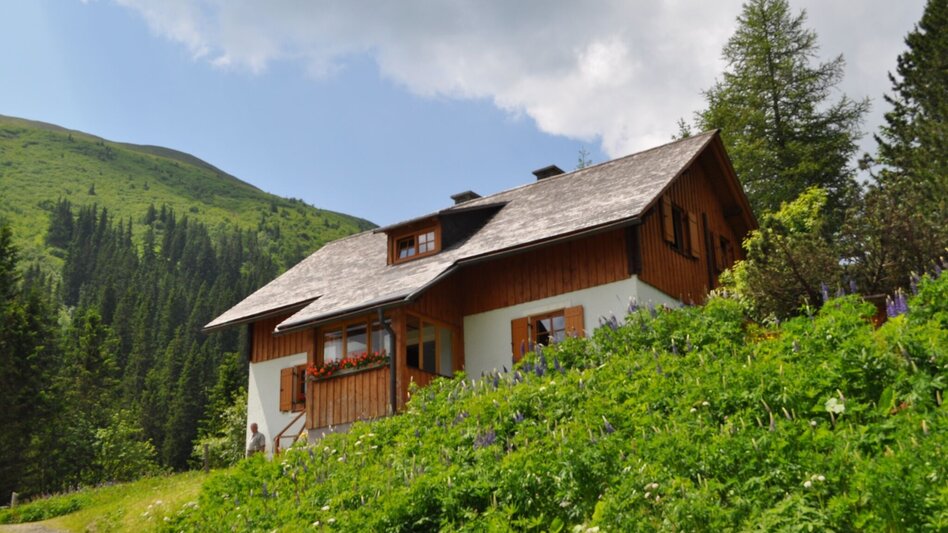 Hiking route Seitnerzinken - Touren-Impression #2.3 | © Erlebnisregion Murtal