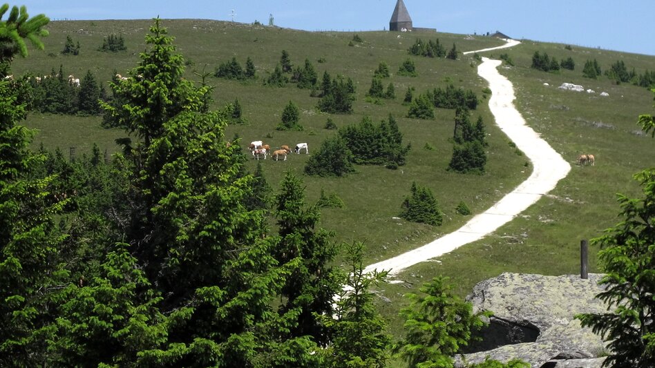 Bike Riding Summit tour: From Waldbach to the Hochwechsel, Waldbach-Mönichwald - Touren-Impression #2.2 | © Oststeiermark Tourismus