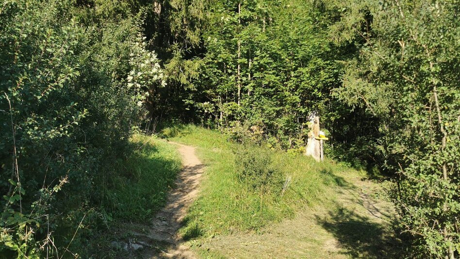 Wanderung Simonywarte - Touren-Impression #2.4 | © Ausseerland