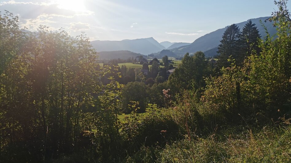 Wanderung Simonywarte - Touren-Impression #2.5 | © Ausseerland Salzkammergut