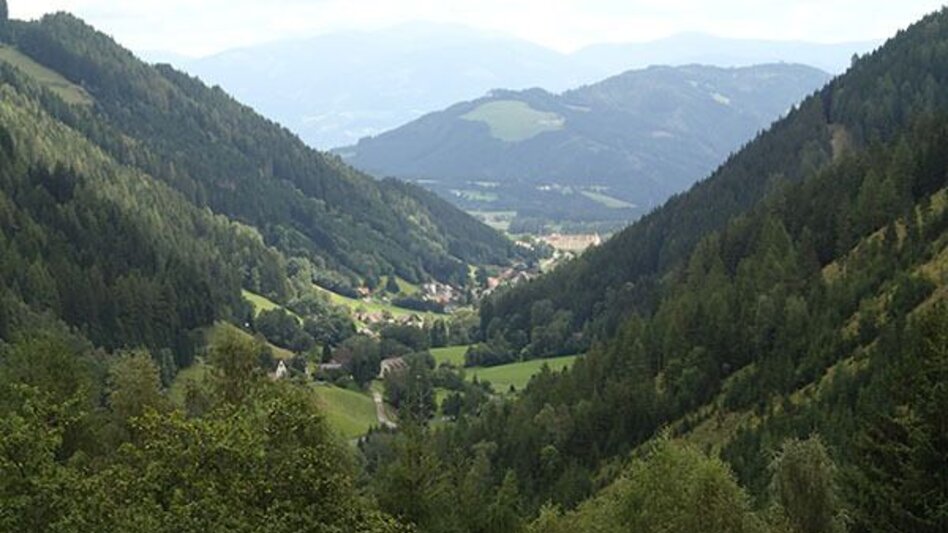 Bike Riding Knittelfeld-Gaal zu den Almhütten Almstüberl und Steinwenderhütte - Touren-Impression #2.1 | © Erlebnisregion Murtal