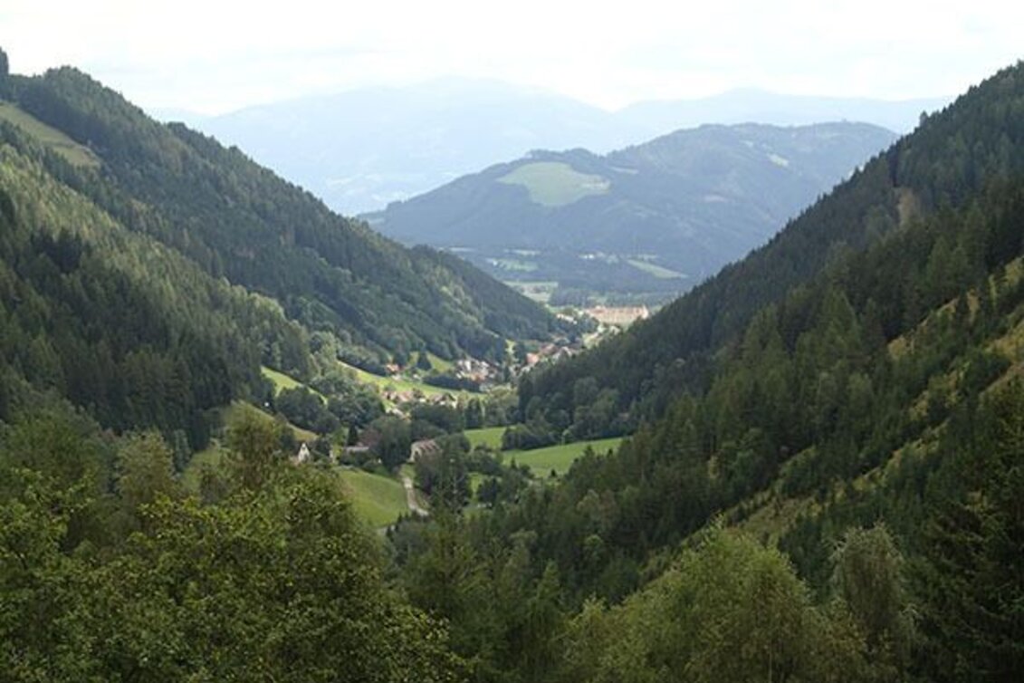 Bike Riding Knittelfeld-Gaal zu den Almhütten Almstüberl und Steinwenderhütte - Touren-Impression #1 | © Erlebnisregion Murtal