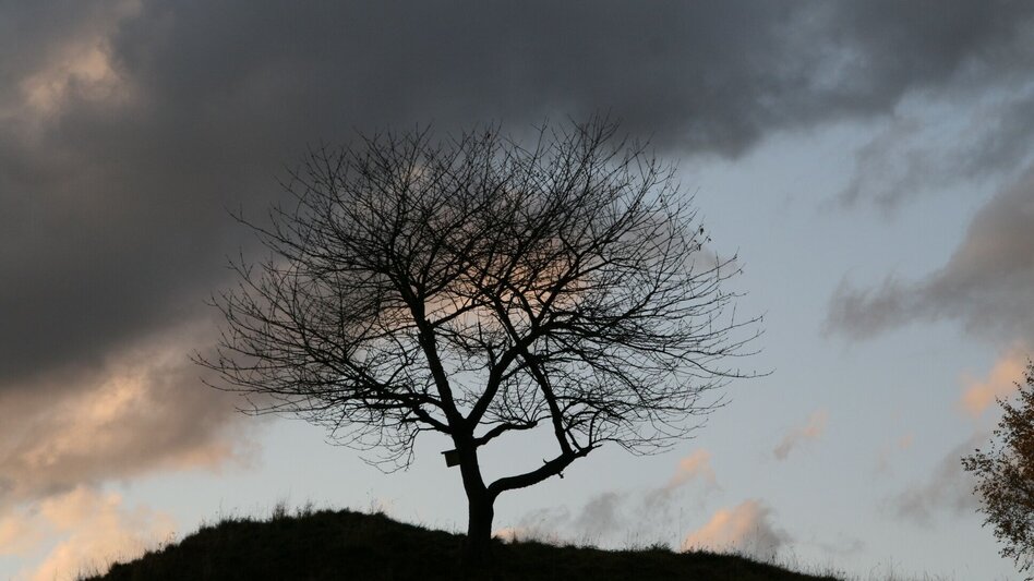 Wanderung Mühltalweg Oberkurzheim - Touren-Impression #2.2 | © Tourismusverband Pölstal- Gemeinde Oberkurzheim