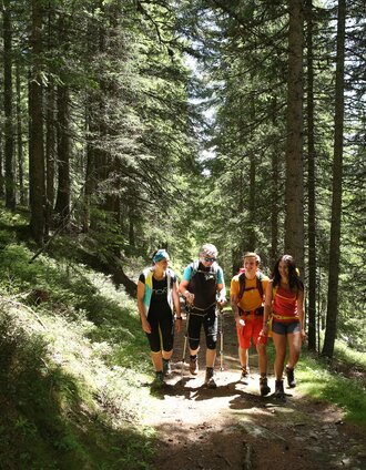 Wandern durch den Wald | Herbert Raffalt | © Erlebnisregion Murtal