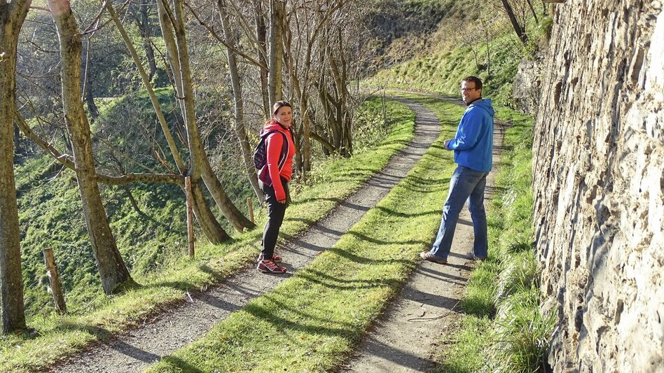 Wanderung Sillweger Aussichtswarte - Touren-Impression #2.4 | © Weges OG