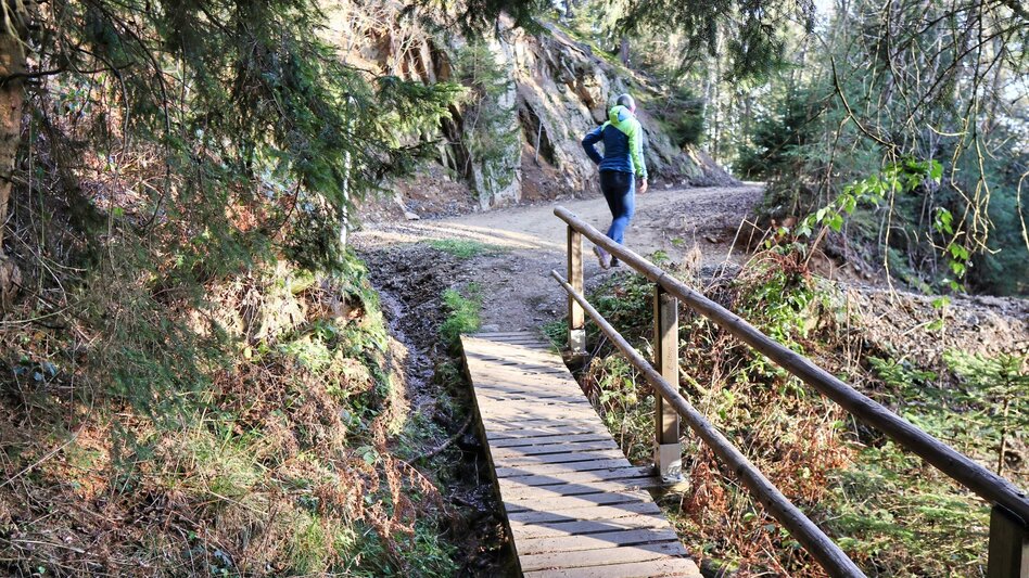 Wanderung Sillweger Aussichtswarte - Touren-Impression #2.6 | © Weges OG