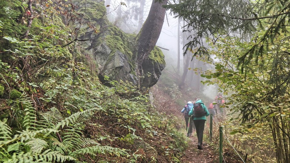 Wanderung Sillweger Aussichtswarte - Touren-Impression #2.8 | © Weges OG