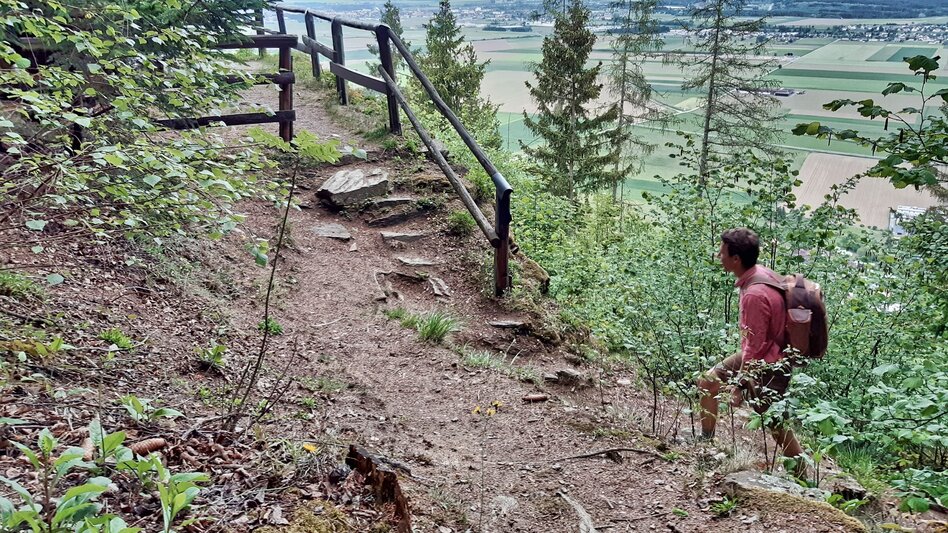 Wanderung Sillweger Aussichtswarte - Touren-Impression #2.9 | © Weges OG