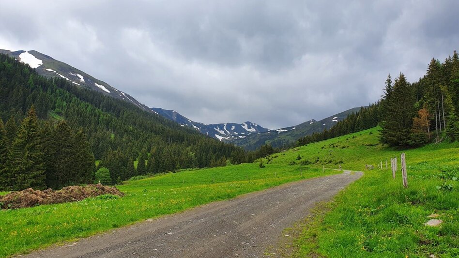 Hiking route Kreuzkogel - Touren-Impression #2.5 | © Martin Muhrer / bergfexmartin.at